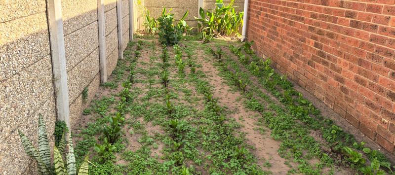 3 Bedroom Property for Sale in Heiderand Western Cape